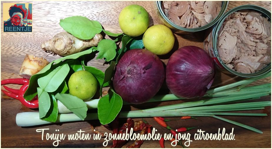 20190224_171415-cr-logo