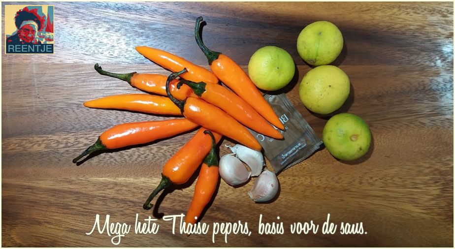 20190227_084047-cr-logo