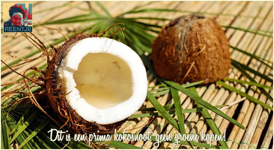 coconut-1501334-cr-logo