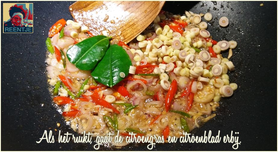 20190319_151107-cr-logo