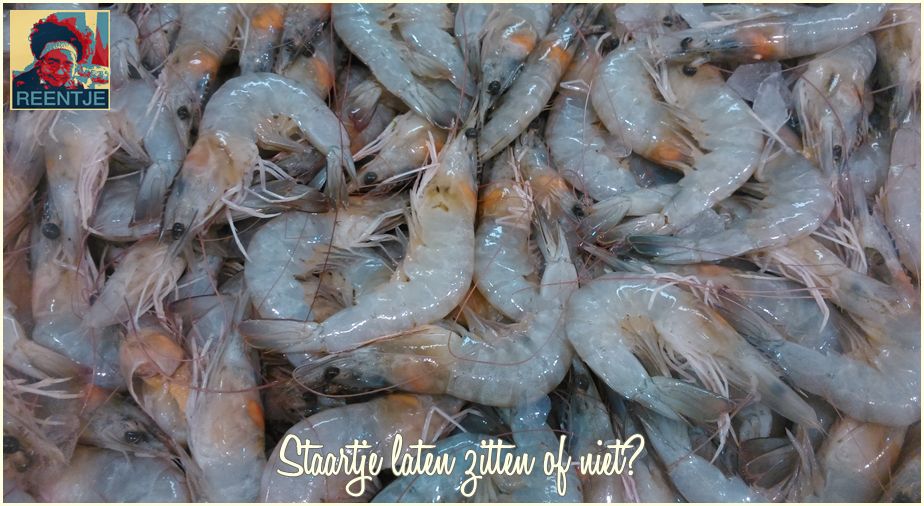 shrimp-2241840-cr-logo