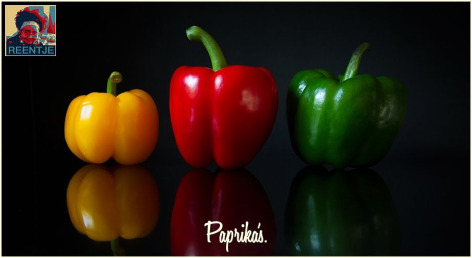 colorful-2658000_1920-cr-logo