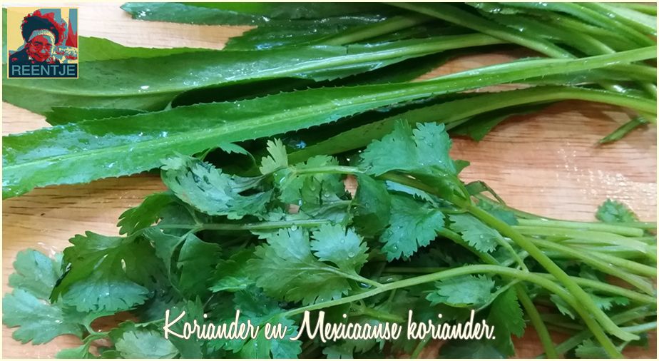 20171015_081726-cr-logo