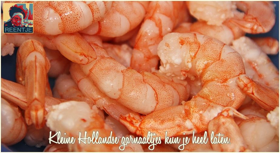 shrimp-3560003_1920-cr-logo
