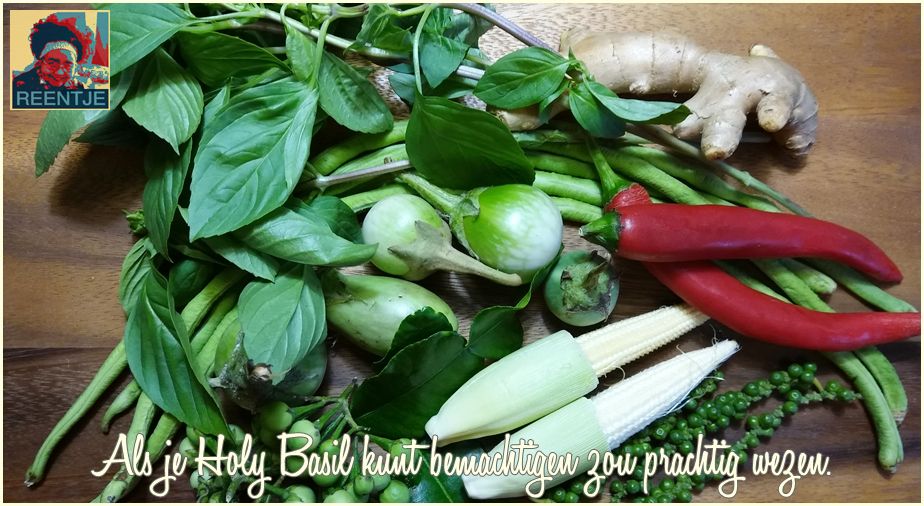 20180202_120257-cr-logo