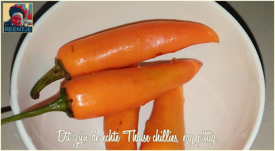 20181029_080424-cr-logo