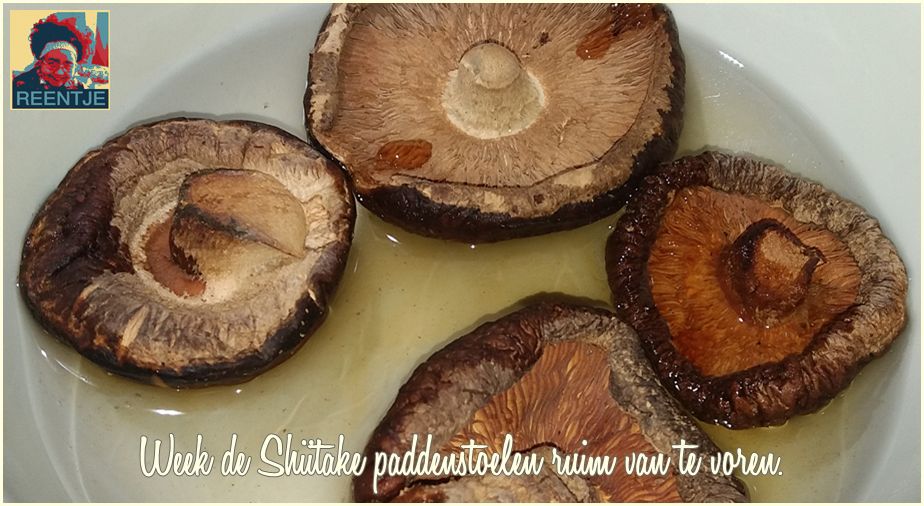 20181127_133427-cr-logo