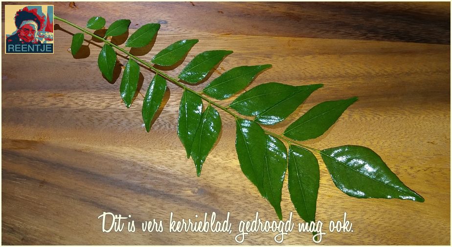 20181220_122425-cr-logo