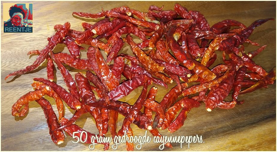 20190113_133732-cr-logo