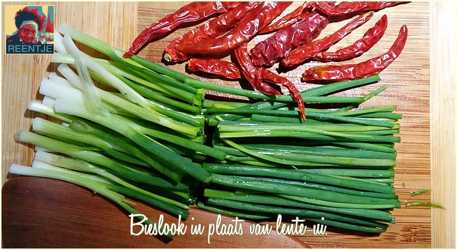 20190118_160557-cr-logo