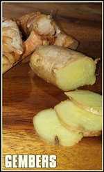 20190124_085202-tumb-re