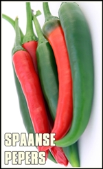 appetite-1238240-tumb-re