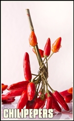 chili-664635_1920-tumb-re