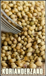 coriander-166990_1920-tumb-re
