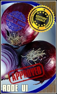 onion-3385081_1920-tumb-ec-200