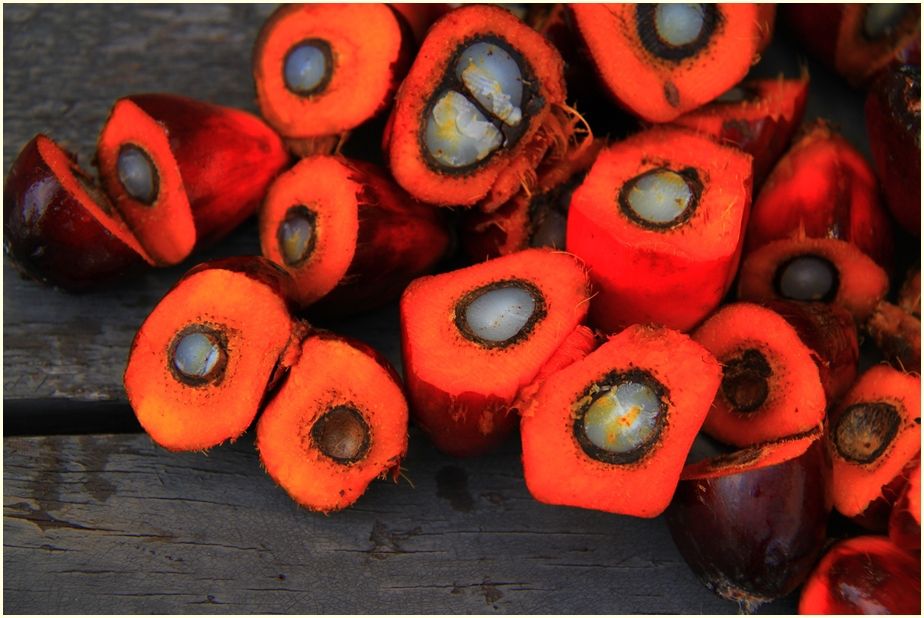 palm-oil-1022012_1920-cr-ir