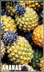 pineapple-1567422-tumb-re