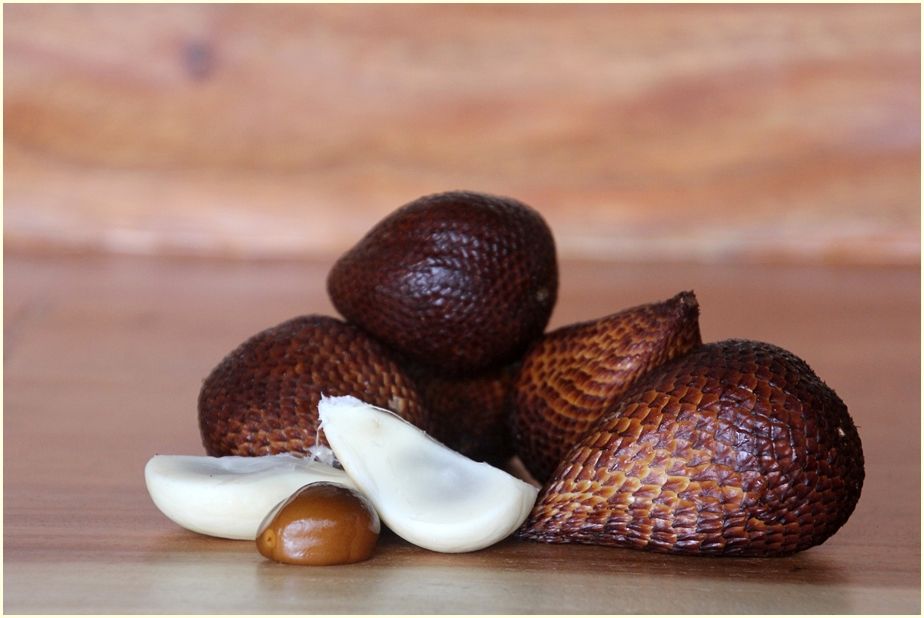 salacca-2829396_1920-cr-ir