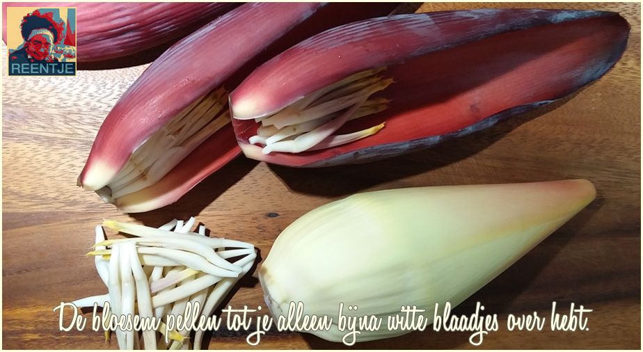 20190202_102023-cr-logo