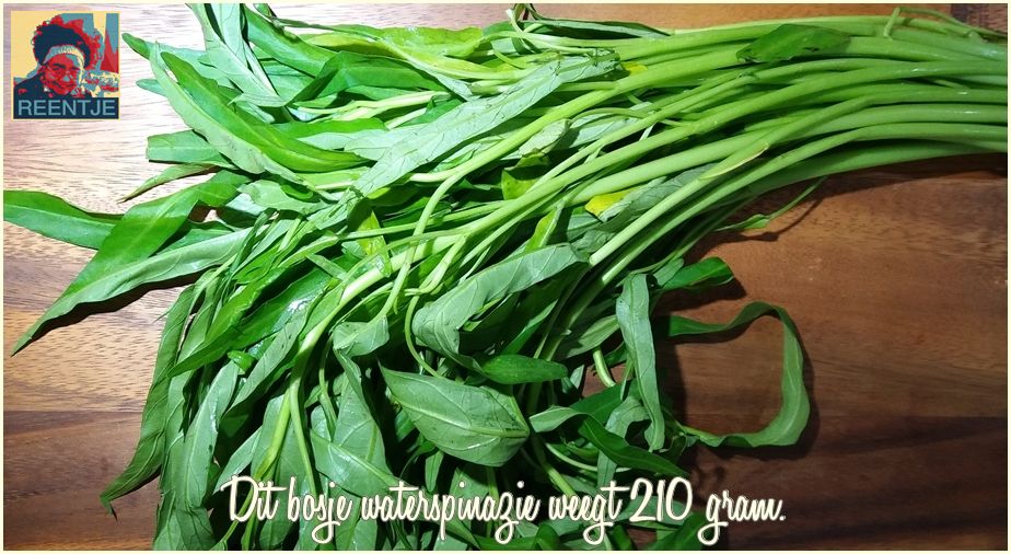 20190209_082625-cr-logo