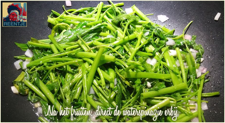 20190209_085205-cr-logo