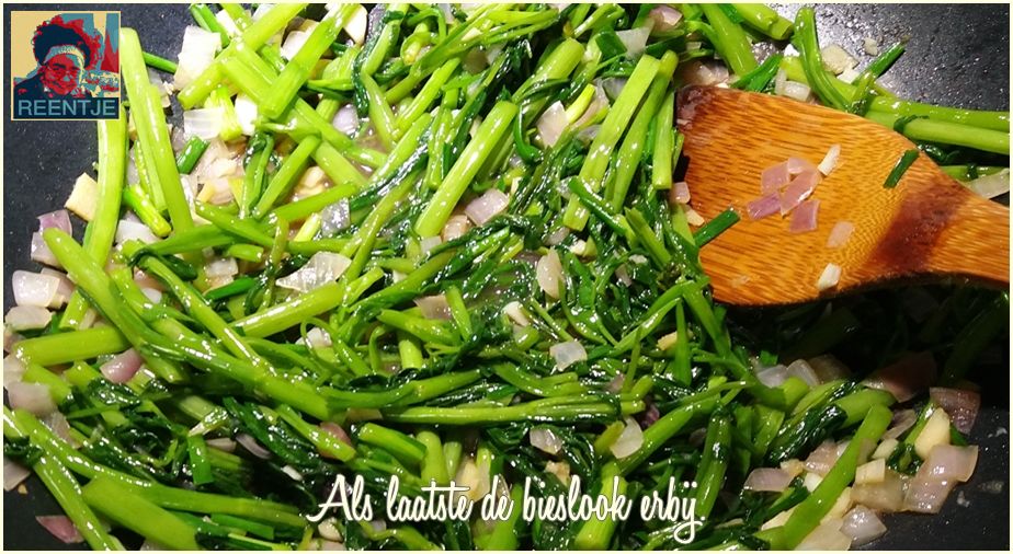 20190209_085434-cr-logo