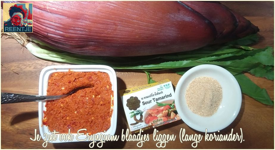 20190210_160122-cr-logo