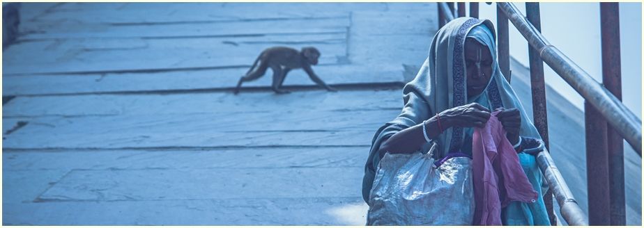 old-lady-on-the-jamun-coast-2977477-cr-ir