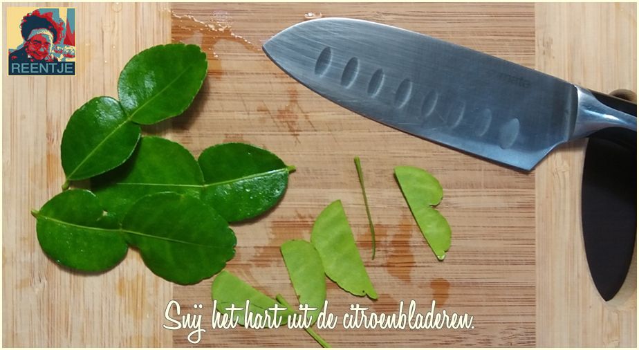 20190301_093919-cr-logo