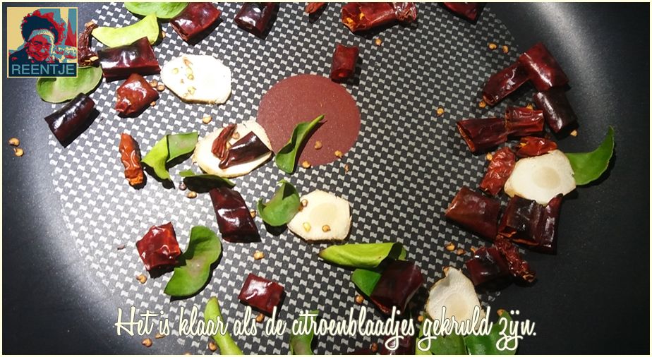 20190301_094525-cr-logo