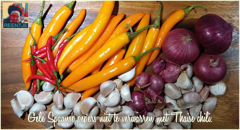 20190309_084241-cr-logo