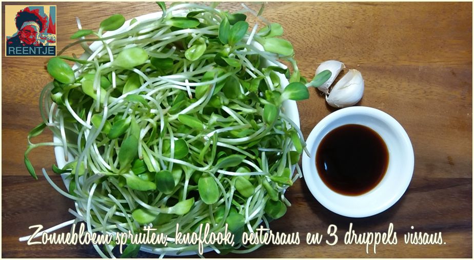 20190313_113537-cr-logo