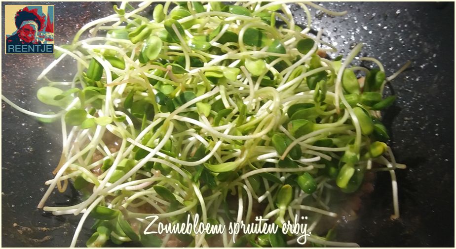 20190316_144619-cr-logo