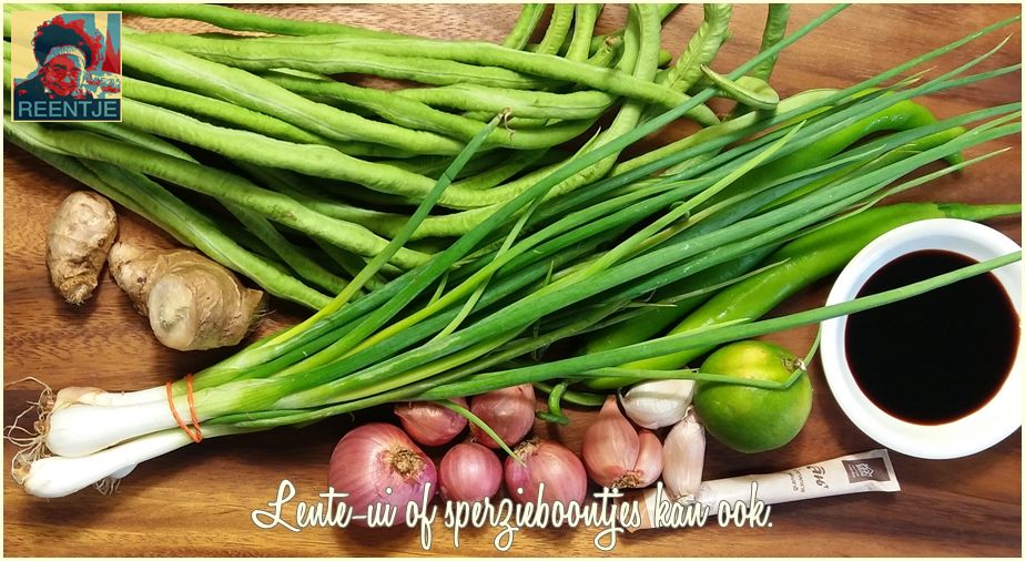 20190526_104134-cr-logo