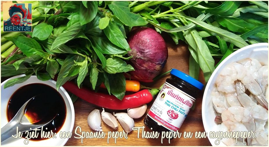 20190622_083359-cr-logo