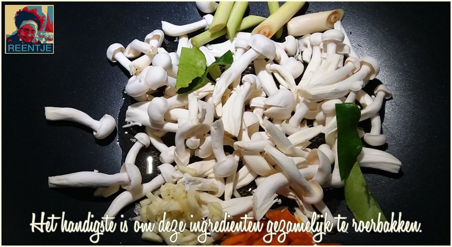 20190622_101341-cr-logo