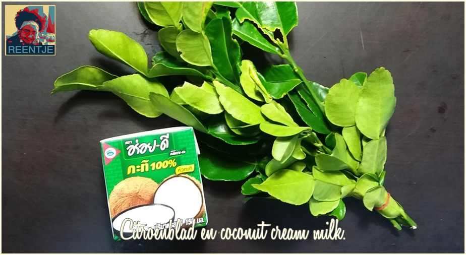 20190708_170706-cr-logo