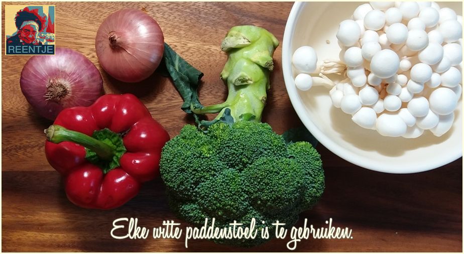 20190718_162825-cr-logo