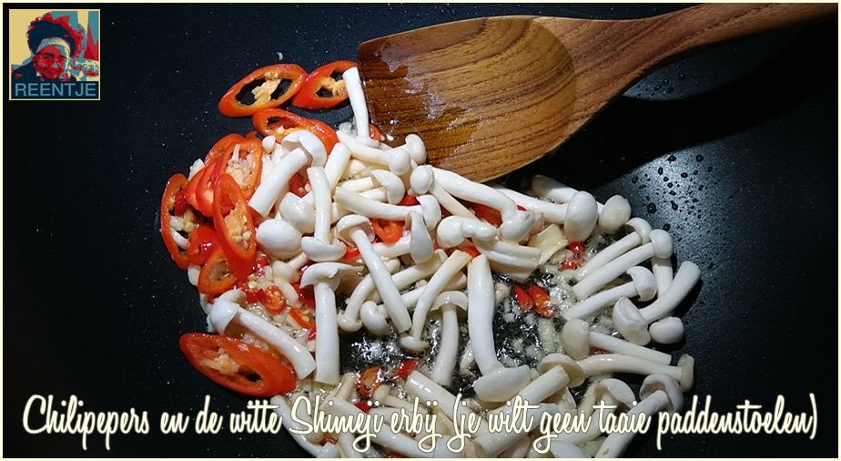 20190820_121616-cr-logo