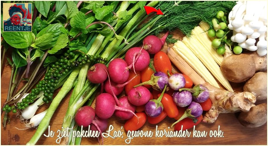 20190821_113255-cr-logo