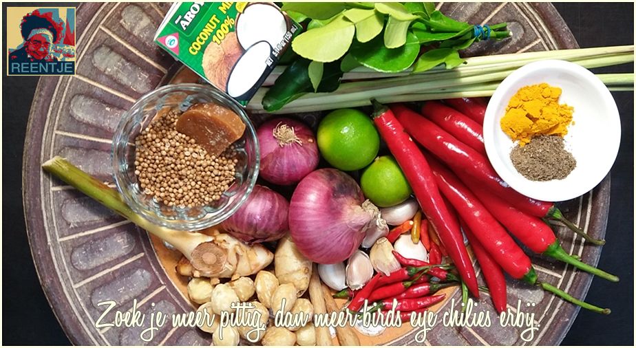 20190824_123525-cr-logo