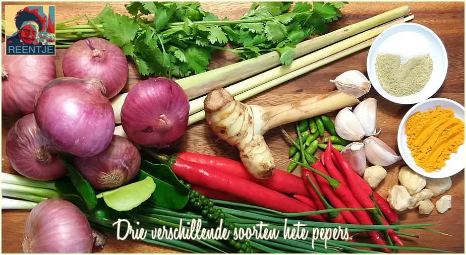 20190827_100846-cr-logo