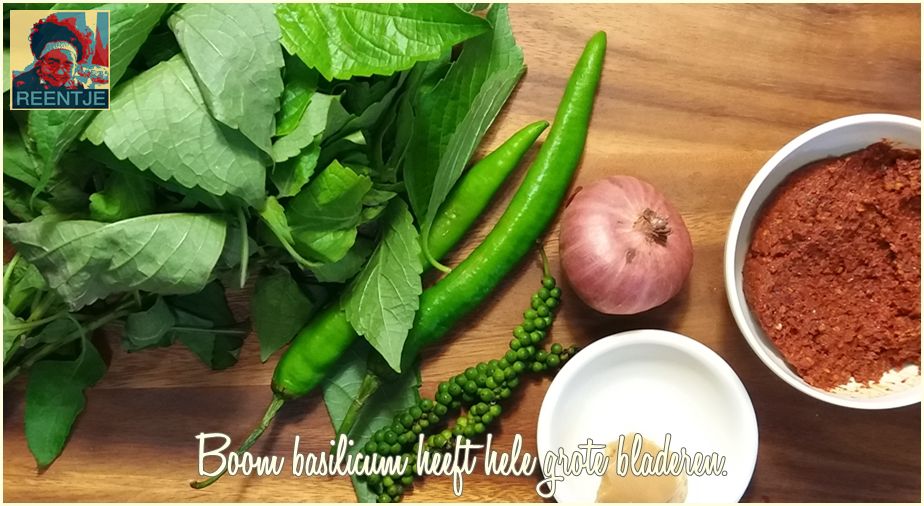 20190927_112016-cr-logo