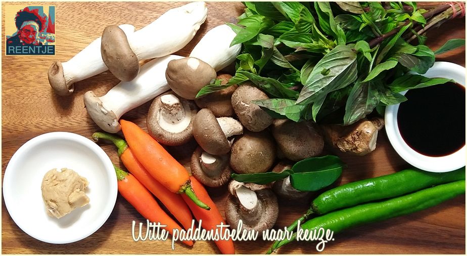 20191004_073506-cr-logo